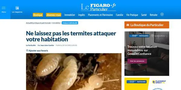 Ne laissez pas les termites attaquer votre habitation - Lefigaro.fr