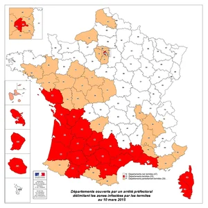 les Termites en france